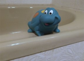 Tortoise on the bath edge.